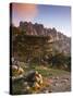 France, Corsica, Corse-Du-Sud Department, La Alta Rocca Region, Col De Bavella Pass, Aiguilles De B-Walter Bibikow-Stretched Canvas