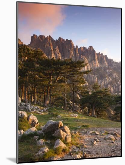 France, Corsica, Corse-Du-Sud Department, La Alta Rocca Region, Col De Bavella Pass, Aiguilles De B-Walter Bibikow-Mounted Photographic Print