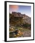 France, Corsica, Corse-Du-Sud Department, La Alta Rocca Region, Col De Bavella Pass, Aiguilles De B-Walter Bibikow-Framed Photographic Print