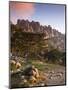 France, Corsica, Corse-Du-Sud Department, La Alta Rocca Region, Col De Bavella Pass, Aiguilles De B-Walter Bibikow-Mounted Photographic Print