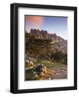 France, Corsica, Corse-Du-Sud Department, La Alta Rocca Region, Col De Bavella Pass, Aiguilles De B-Walter Bibikow-Framed Premium Photographic Print