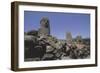 France, Corsica, Filitosa Prehistoric Archaeological Site, Anthropomorphic Menhir Statues-null-Framed Giclee Print