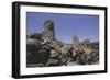 France, Corsica, Filitosa Prehistoric Archaeological Site, Anthropomorphic Menhir Statues-null-Framed Giclee Print