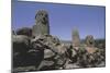 France, Corsica, Filitosa Prehistoric Archaeological Site, Anthropomorphic Menhir Statues-null-Mounted Giclee Print