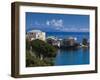 France, Corsica, Haute-Corse Department, Le Cap Corse, Erbalunga, Elevated Town View-Walter Bibikow-Framed Photographic Print