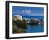 France, Corsica, Haute-Corse Department, Le Cap Corse, Erbalunga, Elevated Town View-Walter Bibikow-Framed Photographic Print
