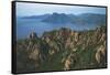 France, Corsica, Parc Naturel Del La Corse, Calanche and Scandola Reserve-null-Framed Stretched Canvas