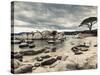 France, Corsica, Porto Vecchio-Area, Plage De Palombaggia Beach, Tamariccio Nature Preserve-Walter Bibikow-Stretched Canvas