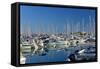 France, Cote D'Azur, Antibes, Harbour, Sailboats-Chris Seba-Framed Stretched Canvas