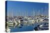 France, Cote D'Azur, Antibes, Harbour, Sailboats-Chris Seba-Stretched Canvas