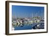 France, Cote D'Azur, Antibes, Harbour, Sailboats-Chris Seba-Framed Photographic Print