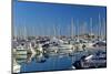 France, Cote D'Azur, Antibes, Harbour, Sailboats-Chris Seba-Mounted Photographic Print