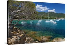 France, Cote D'Azur, Bathing Bay-Chris Seba-Stretched Canvas