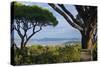 France, Cote D'Azur, Saint Tropez, Bay-Chris Seba-Stretched Canvas