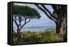 France, Cote D'Azur, Saint Tropez, Bay-Chris Seba-Framed Stretched Canvas