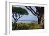 France, Cote D'Azur, Saint Tropez, Bay-Chris Seba-Framed Photographic Print