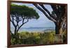 France, Cote D'Azur, Saint Tropez, Bay-Chris Seba-Framed Photographic Print