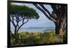 France, Cote D'Azur, Saint Tropez, Bay-Chris Seba-Framed Photographic Print