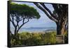 France, Cote D'Azur, Saint Tropez, Bay-Chris Seba-Framed Stretched Canvas