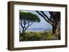 France, Cote D'Azur, Saint Tropez, Bay-Chris Seba-Framed Photographic Print