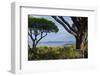 France, Cote D'Azur, Saint Tropez, Bay-Chris Seba-Framed Photographic Print