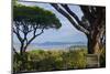 France, Cote D'Azur, Saint Tropez, Bay-Chris Seba-Mounted Photographic Print