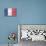 France Country Flag - Barnwood Painting-Lantern Press-Stretched Canvas displayed on a wall