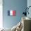 France Country Flag - Barnwood Painting-Lantern Press-Art Print displayed on a wall