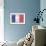 France Country Flag - Barnwood Painting-Lantern Press-Framed Art Print displayed on a wall