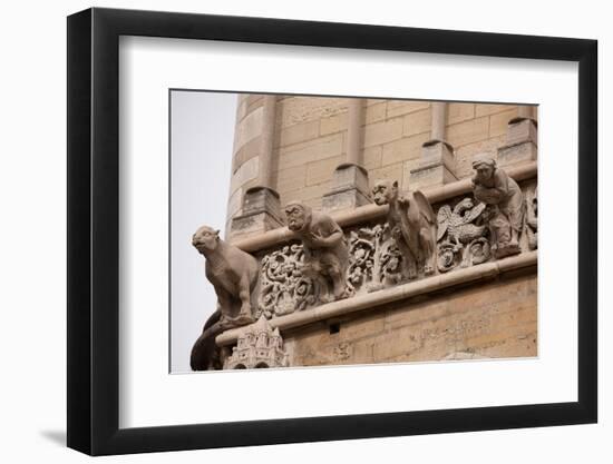 France, Dijon, Cathedral of St Benigne-null-Framed Premium Photographic Print