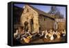 France Farmyard with Chickens-null-Framed Stretched Canvas