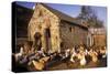 France Farmyard with Chickens-null-Stretched Canvas