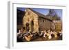 France Farmyard with Chickens-null-Framed Photographic Print