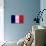 France Flag Design with Wood Patterning - Flags of the World Series-Philippe Hugonnard-Stretched Canvas displayed on a wall