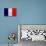 France Flag Design with Wood Patterning - Flags of the World Series-Philippe Hugonnard-Stretched Canvas displayed on a wall