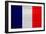 France Flag Design with Wood Patterning - Flags of the World Series-Philippe Hugonnard-Framed Art Print