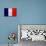 France Flag Design with Wood Patterning - Flags of the World Series-Philippe Hugonnard-Mounted Art Print displayed on a wall