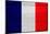 France Flag Design with Wood Patterning - Flags of the World Series-Philippe Hugonnard-Mounted Art Print