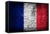 France Flag-kwasny221-Framed Stretched Canvas