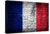 France Flag-kwasny221-Stretched Canvas