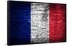 France Flag-kwasny221-Framed Stretched Canvas