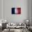 France Flag-kwasny221-Art Print displayed on a wall