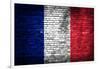 France Flag-kwasny221-Framed Art Print