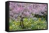 France, Giverny. Springtime in Claude Monet's Garden-Jaynes Gallery-Framed Stretched Canvas