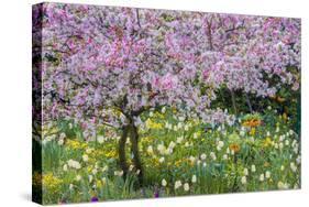 France, Giverny. Springtime in Claude Monet's Garden-Jaynes Gallery-Stretched Canvas