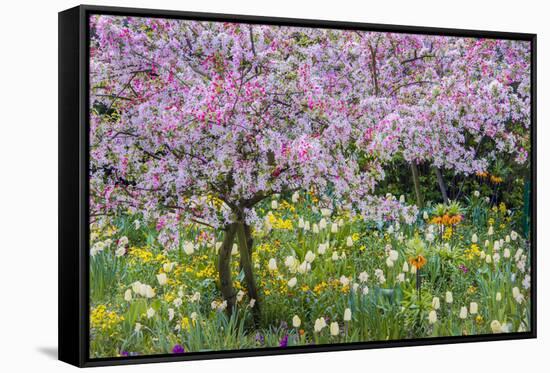 France, Giverny. Springtime in Claude Monet's Garden-Jaynes Gallery-Framed Stretched Canvas