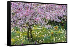 France, Giverny. Springtime in Claude Monet's Garden-Jaynes Gallery-Framed Stretched Canvas