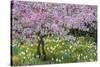 France, Giverny. Springtime in Claude Monet's Garden-Jaynes Gallery-Stretched Canvas