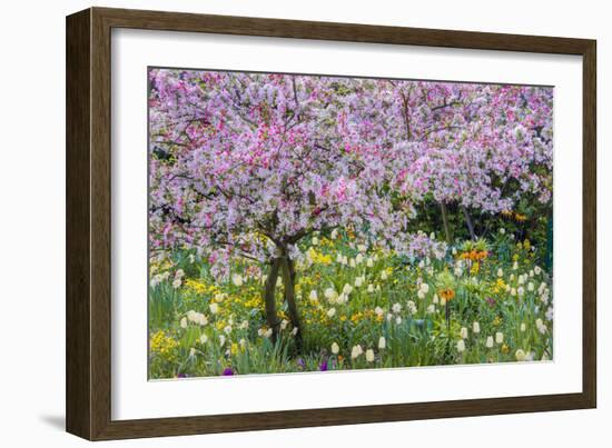 France, Giverny. Springtime in Claude Monet's Garden-Jaynes Gallery-Framed Photographic Print