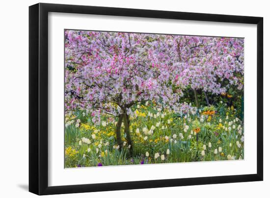 France, Giverny. Springtime in Claude Monet's Garden-Jaynes Gallery-Framed Photographic Print